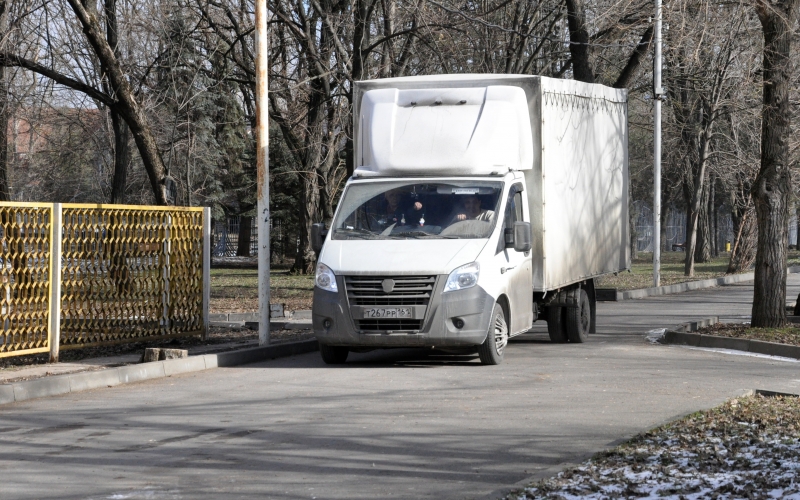 Тигр Устин приехал в ростовский зоопарк