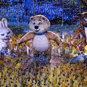 В России зимнюю Олимпиаду в Сочи посмотрели 63,7 млн человек, - сообщает пресс-служба компании «TNS Россия»