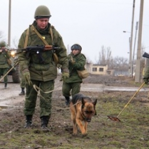 Еще один снаряд системы «Град» найден в Ростовской области недалеко от украинской границы.