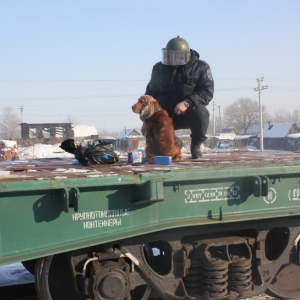 Сегодня в Ростове-на-Дону по тревоге подняли все спецслужбы. 