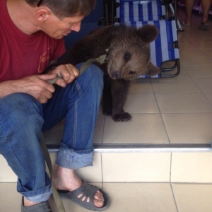 Медвежонок Тимка посетил рынок в Ростове-на-Дону