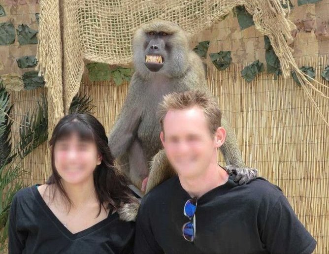 monkey.jpg
